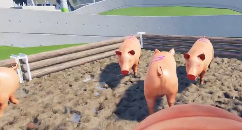 模拟猪游戏手机最新版图4: