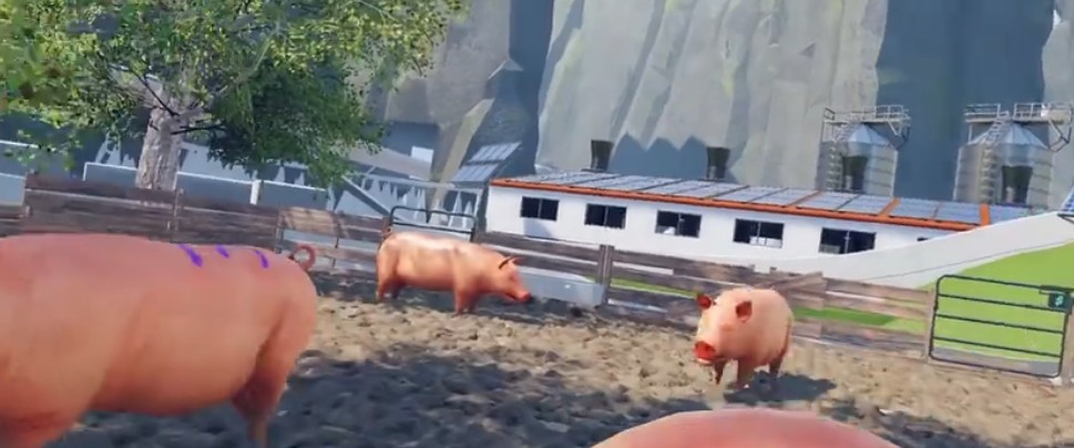 模拟猪游戏手机最新版图6: