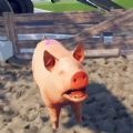 模拟猪游戏