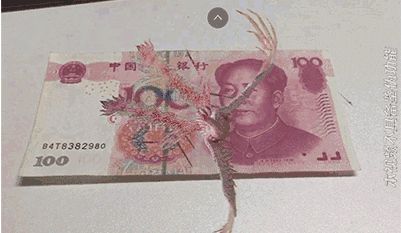 人民币上的3D中国怎么看 微视人民币上的3D中国ar视频观看攻略教程[多图]图片1