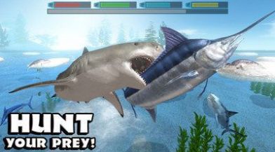 深海鲨鱼模拟器钻石安卓版图1: