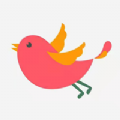 飞鸟资讯app