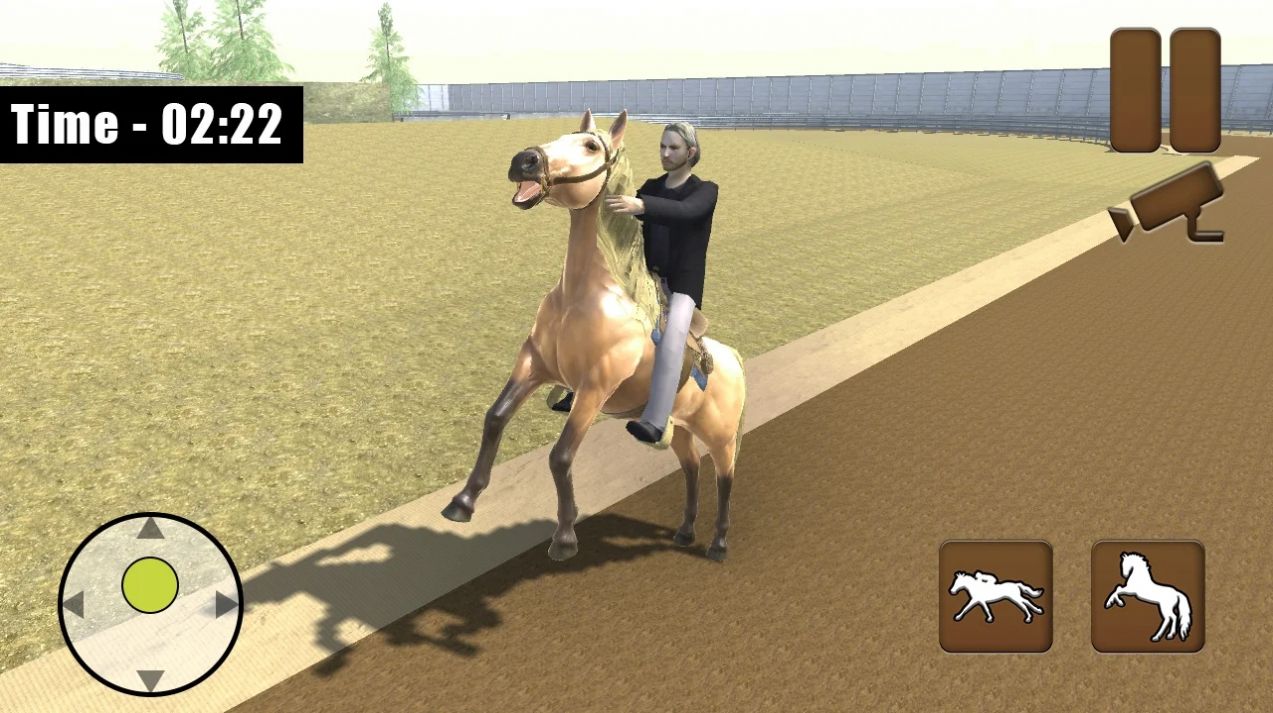 骑马模拟器2021游戏免费安卓版图2: