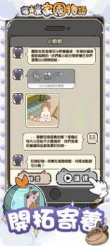 猫咪家园物语游戏最新安卓版图3: