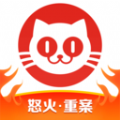 猫眼专业版实时票房累计app下载 v9.33.0