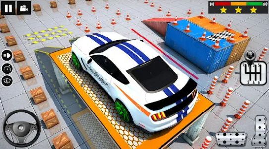 新时代停车场模拟器游戏中文版图4: