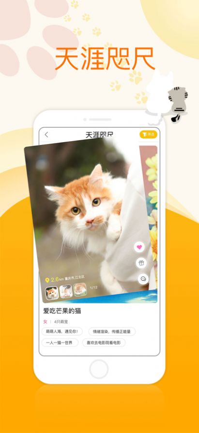 104萌宠物资讯app最新版图1: