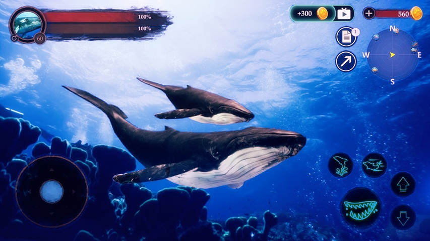 鲸鱼潜水模拟器游戏手机版（The Humpback Whales）图3: