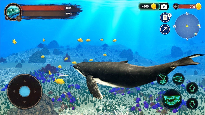 鲸鱼潜水模拟器游戏手机版（The Humpback Whales）图2: