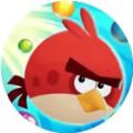愤怒的小鸟荣耀游戏安卓版 v1.0