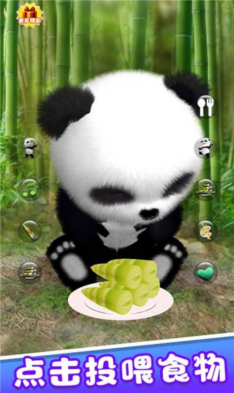 宠物熊猫模拟器游戏手机版图2: