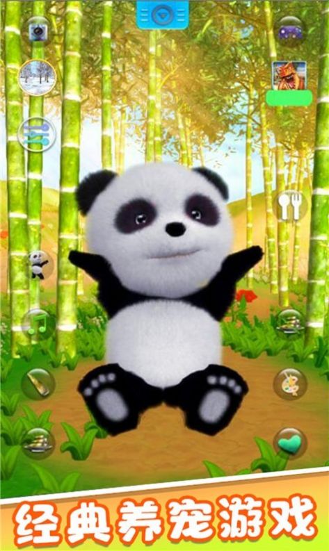 宠物熊猫模拟器游戏手机版图4: