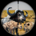 Frontier Animal Hunting游戏