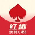 红桃小说app