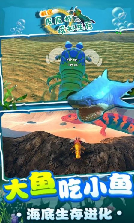极速皮皮虾模拟生存游戏图3