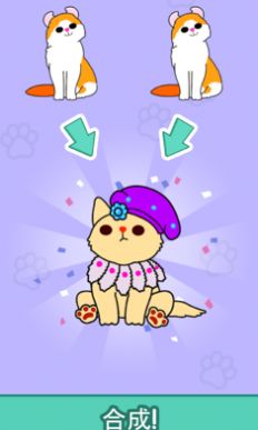 猫咪小屋合成喵喵游戏最新手机版图2: