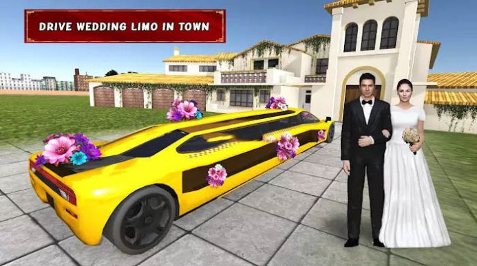 婚礼出租车模拟器游戏安卓版图1: