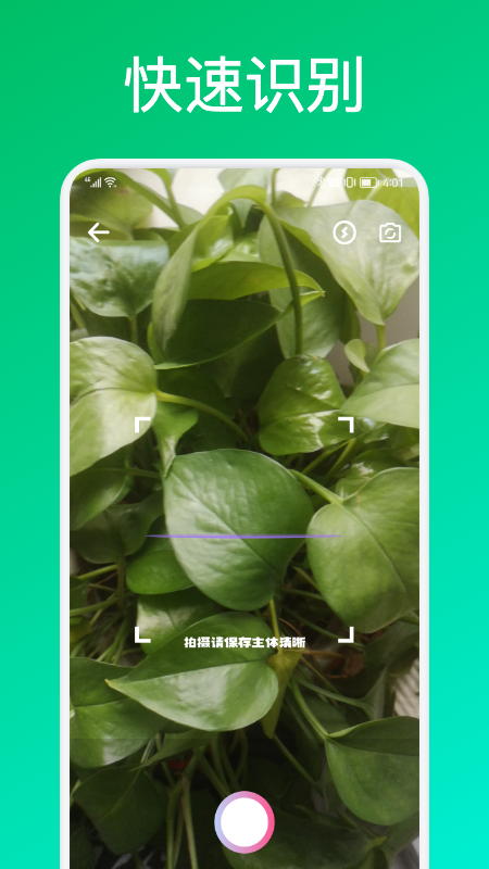 识花君植物识别app官方版图3: