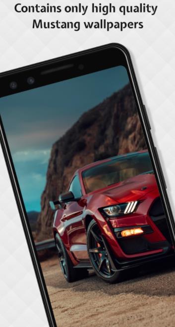 Mustang Wallpapers HD app图2