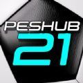 peshub21安卓游戏中文版 v1.0.0