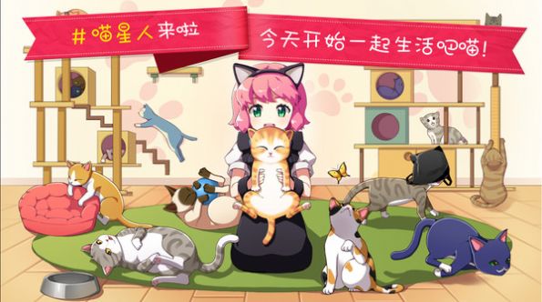 猫猫咖啡面包屋中文安卓版图4: