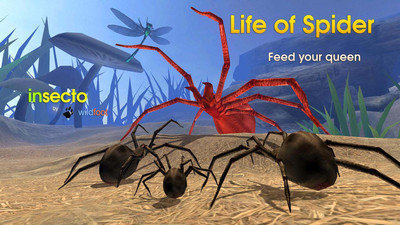 喂蜘蛛日常模拟器游戏官方最新版图2: