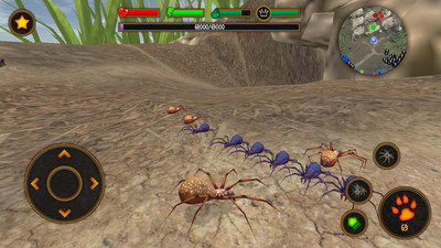喂蜘蛛日常模拟器游戏官方最新版图3: