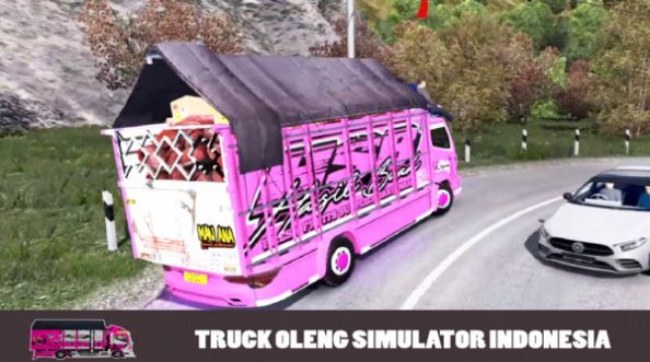 印度越野卡车货运手游中文安卓版图4: