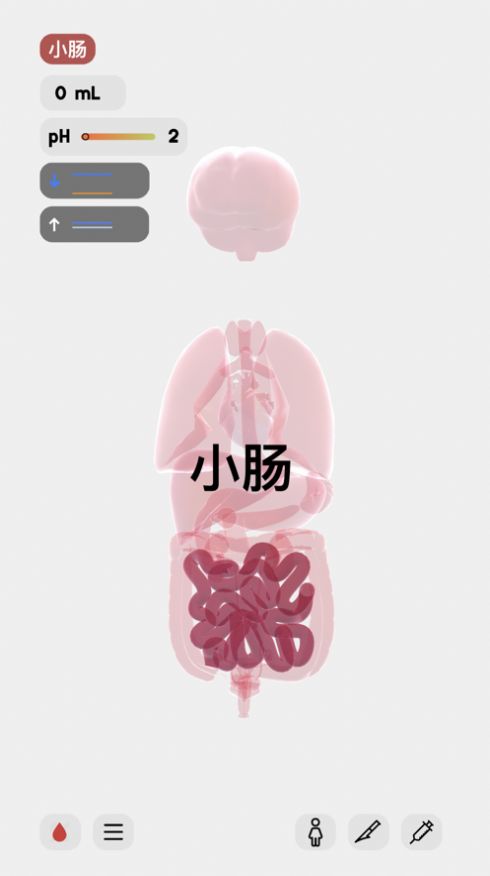 医学人体模拟器手机软件中文版图1:
