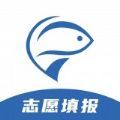 大鱼升学app