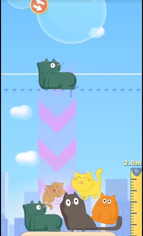 叠高高的猫游戏图3: