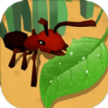 蚂蚁进化3D蚁卵储藏间游戏