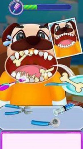 动物牙医手术游戏最新版图1: