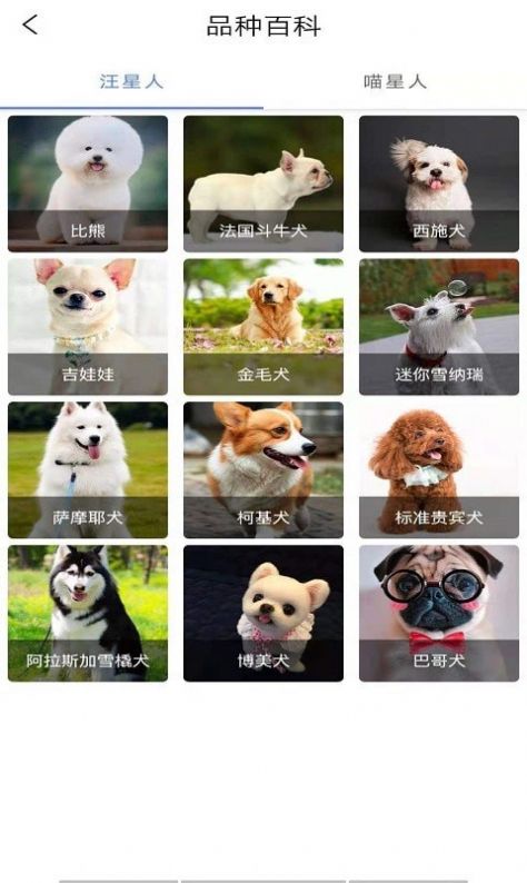 宠物知识全书app下载官方版图1:
