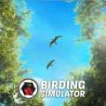 观鸟模拟器游戏