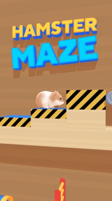 Hamster Maze游戏中文版图2:
