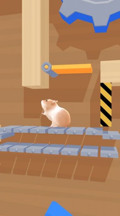 Hamster Maze游戏中文版图4: