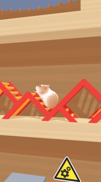 Hamster Maze游戏中文版图1: