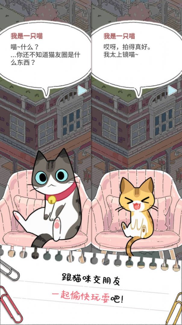 猫友圈猫咪的旅行游戏安卓手机版图7: