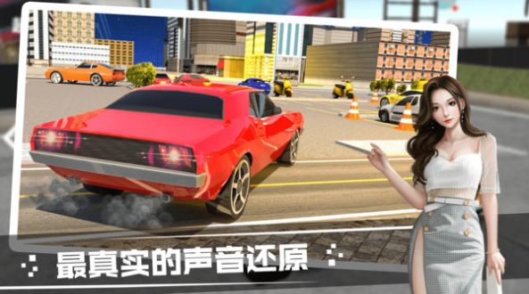 雪山道路驾驶模拟游戏安卓手机版图3: