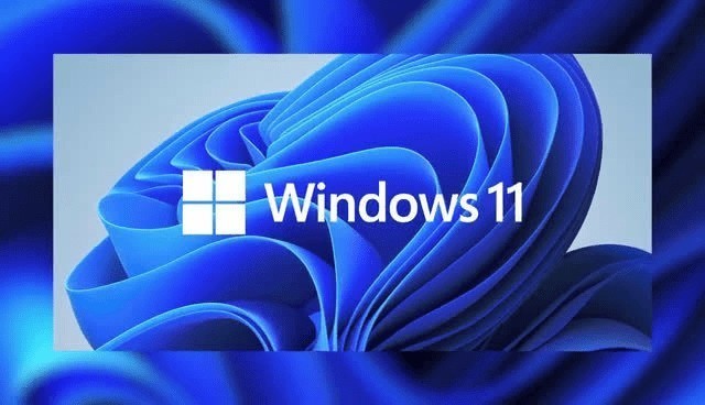 微软Windows 11 Build 22000.160（KB5005189）预览版_微软Windows 11 Build 22000.160正式版安装包_Win11 Build 22000.160下载