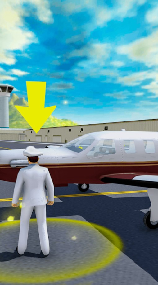 航空飞行员游戏官方最新版图3: