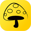 蘑菇丁App官方最新版