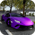 急速汽车模拟器游戏最新版 v1.0