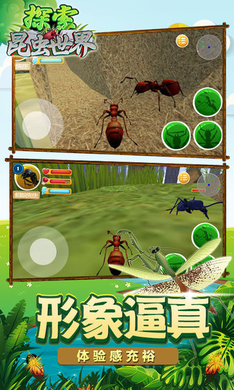 昆虫世界生存游戏汉化手机版图3: