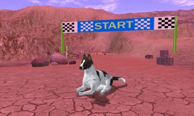 猎犬模拟器游戏图1