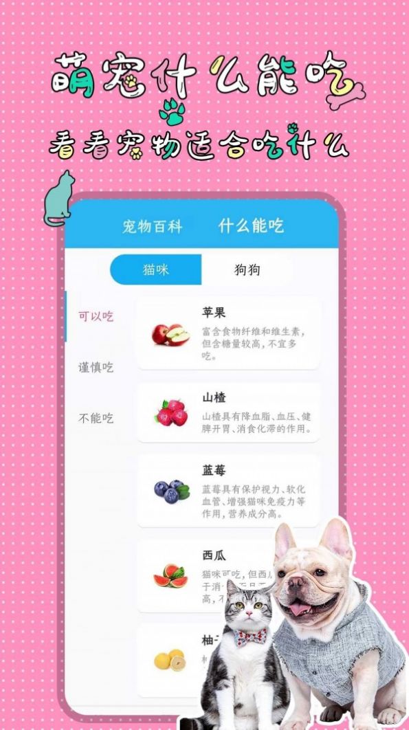 人猫人狗翻译交流器app官方版图3: