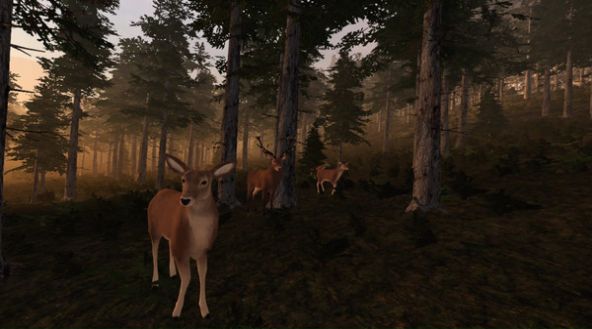 Virtual Hunter游戏图2