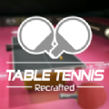 乒乓球世纪游戏最新安卓版 v1.0
