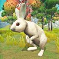 宠物兔模拟器游戏